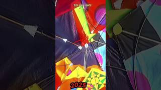 14th January 2025💝🙌||#trending#republicday#kite#2025#newyear#makarsankranti#reels#new#basant#new