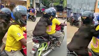 Dog wearing helmet for safety in tamilnadu | Viral video | Tamil trending today video | Tamil Yugam