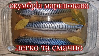 Скумбрія маринована.Маринад для скумбрії.Скумбрія пряного посолу.Рецепт легкого приготування.