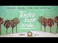 tender touch riddim mix patrice roberts nailah blackman olatunji hey choppi by dj kelvin