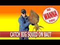 How to catch big squid on a handline using bait