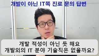 [질의응답] 개발이 아닌 IT 쪽 진로 문의 답변 (IT 기술쪽 업무를 하고 싶은데, 개발은 어렵내요. 해당 지식을 활용할 직무와 관련 준비 방법이 있을까요?)