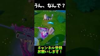 うん、なんで？【フォートナイト/Fortnite】#shorts #フォートナイト #fortnite #トリックショット