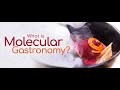 What Is Molecular Gastronomy?