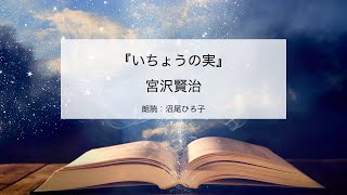 【朗読】宮沢賢治『いちょうの実』　朗読：沼尾ひろ子