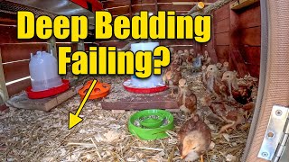 Chicken Coop Deep Bedding is Yours Failing