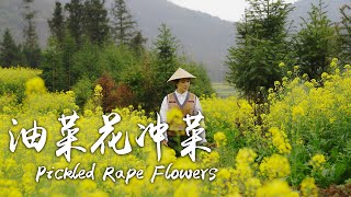 「花期有食」冲菜——留着三月油菜花最好的方式【滇西小哥】