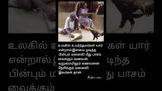 கணவன் மனைவி அன்பு