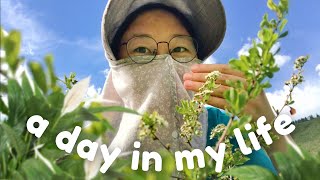 Миний нэг өдөр (+ ургамлын харшил)🌿| a day in my life as an allergic teen