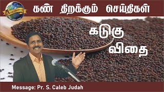 கடுகு விதை Mustard Seed - Caleb Judah