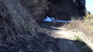 とことこ走る林道散歩【鷲走林道】②