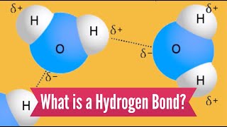 What is a Hydrogen Bond?