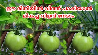 ഗ്രോബാഗ് കൃഷി part11വിത്ത് പാകൽ ഈ രീതിയിൽ #youtube #shorts