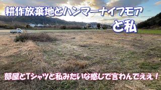 【耕作放棄地】また畑を片付けてます。開墾作業は正直、骨が折れます。誰もやりたがらないのもわかります。