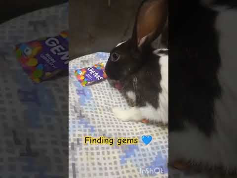 Finding Gems рџ љ Youtube