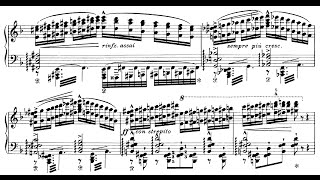 Liszt: Réminiscences de Don Juan, S.418 (Okada)