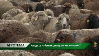 Агротема: Как да се избегнат „виртуалните животни“?, автор: Данаил Андреев