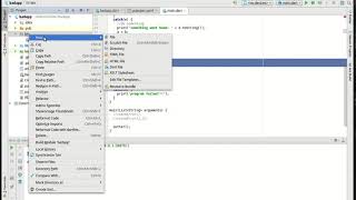 Flutter 12 Dealing with Errors