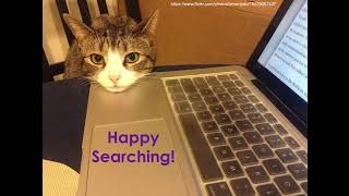 Multisearch Hacks: Tips for Better Search Results