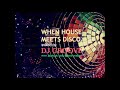 when house meets disco