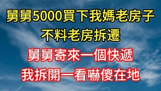 舅舅5000買下我媽的老房子！不料老房拆遷！舅舅寄來一個快遞！我拆開一看嚇傻在地！