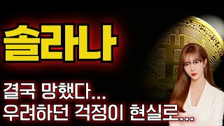 [솔라나] 비상사태 💥 결국망했다...우려하던 걱정이 현실로 일어나버렸다..