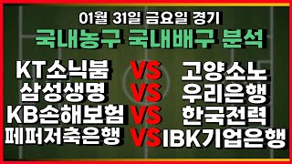 토토분석 스포츠분석 프로토분석 01월31일 KBL 프로농구 국내농구 V리그 국내배구 주요경기분석