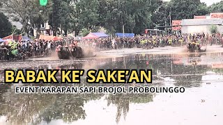 BABAK PEREMPAT FINAL ( KE SAKE'AN) EVENT LOMBA KARAPAN SAPI BROJOL PROBOLINGGO