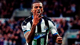 HIGHLIGHTS ● BPL ► Newcastle United 6 vs 2 Norwich City - 18 Oct 2015 | English Commentary