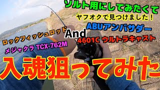 マゴチ釣り！オールドベイトリール ABU アブガルシア アンバサダー 4601C ガンナー とメジャークラフト TCX-762M/Bで入魂狙ってみた。