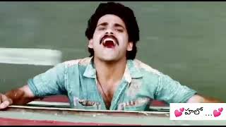 Nirnayam movie song / Hello Guru/   Nagarjuna and Amala ❤️