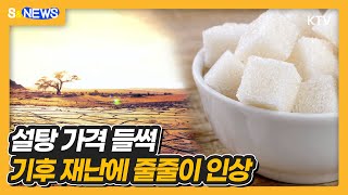 설탕 가격 들썩 기후 재난에 줄줄이 인상