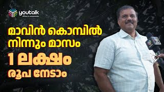 മാവിന്‍ കൊമ്പ് മുറിച്ചു വിറ്റ് മാസം നേടുന്നത് 1 ലക്ഷം രൂപ വരെ | Agriculture | Mango Farming Business