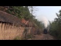 steam of namtu mine railway myanmar mar.2013 2 ミャンマー　ナムツ鉱山鉄道の蒸気機関車（2013年3月）2