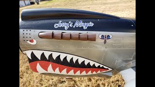 20221109 Skyshark P-40 Vinyl