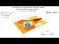 simulation of scour around a vertical cylinder with an immersed boundary method.