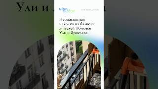 Как бы вы отреагировали на такую находку?