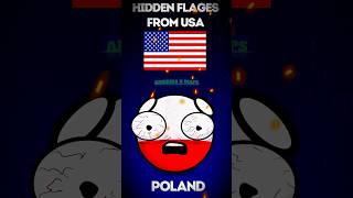 HIDDEN FLAGS USA ππΊπΈ | Countryballs #shorts #usashorts #hidden #flags