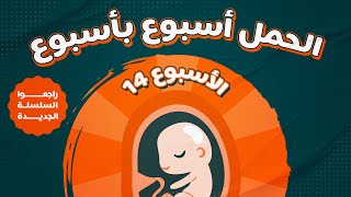 الأسبوع الرابع عشر - بداية جديدة