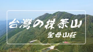 宜蘭超夯爆紅景點,北台灣天天爆滿的登山步道-有著「台灣抹茶冰淇淋」稱號的山,那就是在宜蘭聖母登山步道