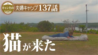 夫婦キャンプ137　見回り猫ちゃんと初遭遇！我が家の撤収作業　ケシュア・ワンタッチテントとリビング拡張シェルター