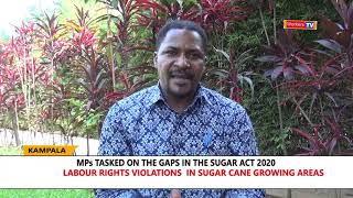 WHO TO BLAME FOR  CHILD LABOUR \u0026 RAMPANT VIOLATION OF LABOUR RIGHTS IN SUGAR CANE GROWING AREAS