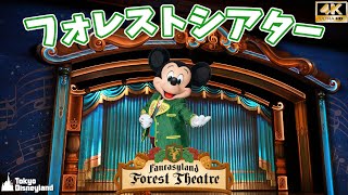 【TDL】映像美で見る、フォレストシアター館内の様子/東京ディズニーランド/ファンタジーランド