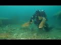 Feeding frenzy at Capernwray scuba diving centre