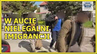 JAWOR. W aucie nielegalni imigranci, kierowca chciał uciec