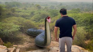 Anaconda Snake Attack in Real Life 3