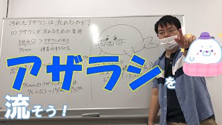 【ダ・ヴィンチ・恐山】汚れたアザラシをトイレで流すのは可能か計算してみた (解説は 0:16 ~)