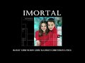 Sandy & Junior - Imortal (Remix)