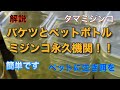 数万匹のミジンコを永久に増やせます😊解説します