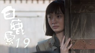 白鹿原 | White Deer 19【DVD版】（張嘉譯、秦海璐、何冰等主演）